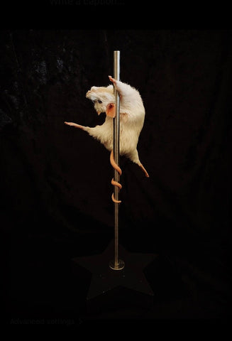 Stripper Mouse - Lola