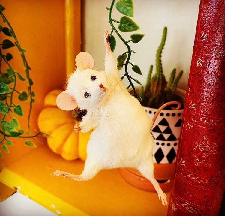 Hanging Mouse – Oh Stuffinell