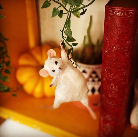 Hanging Mouse