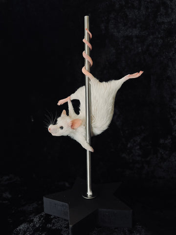 Stripper Mouse - Jezabel