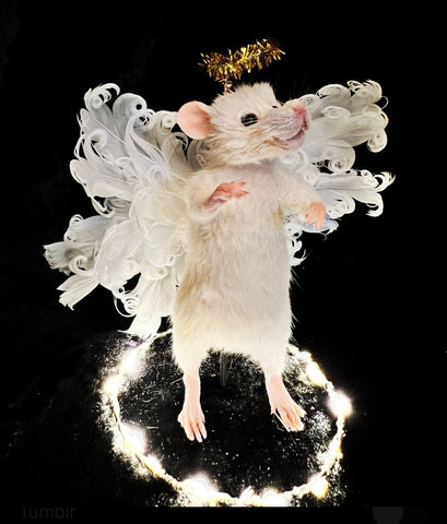 Mouse Angel Tree Topper