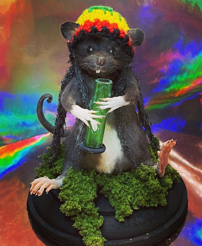 Rasta Rat