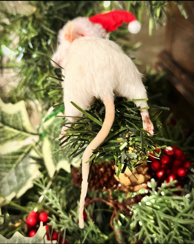 Sleepy Christmas Mouse