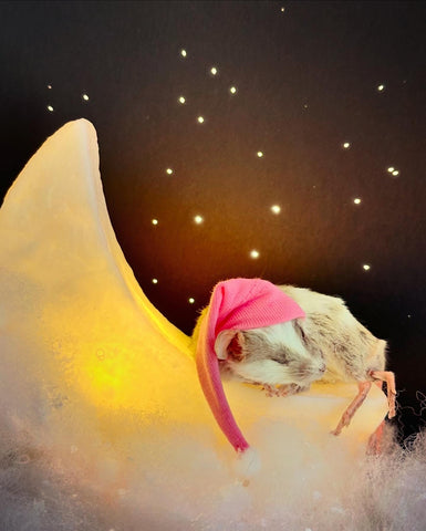 Star Dreamer Nightlight