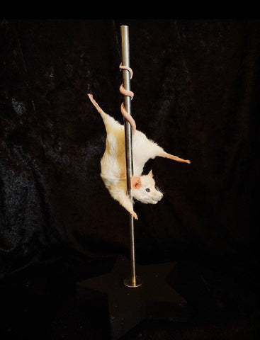 Stripper Mouse - Tiffany