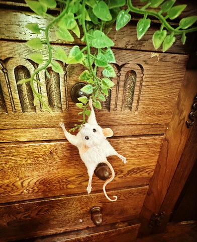 Hanging Mouse