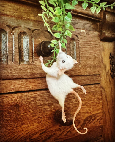 Hanging Mouse